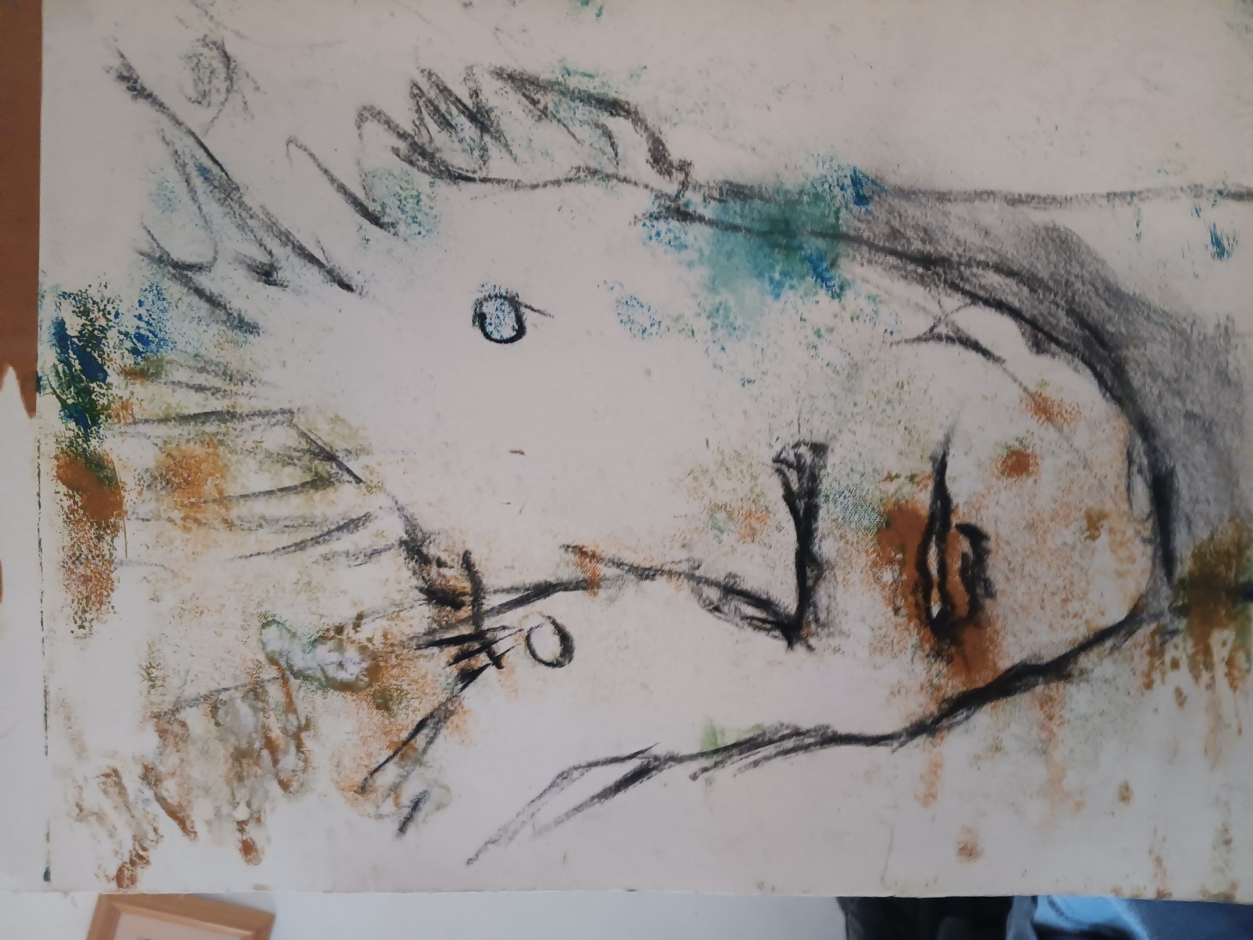 Charcoal and pastel on paper