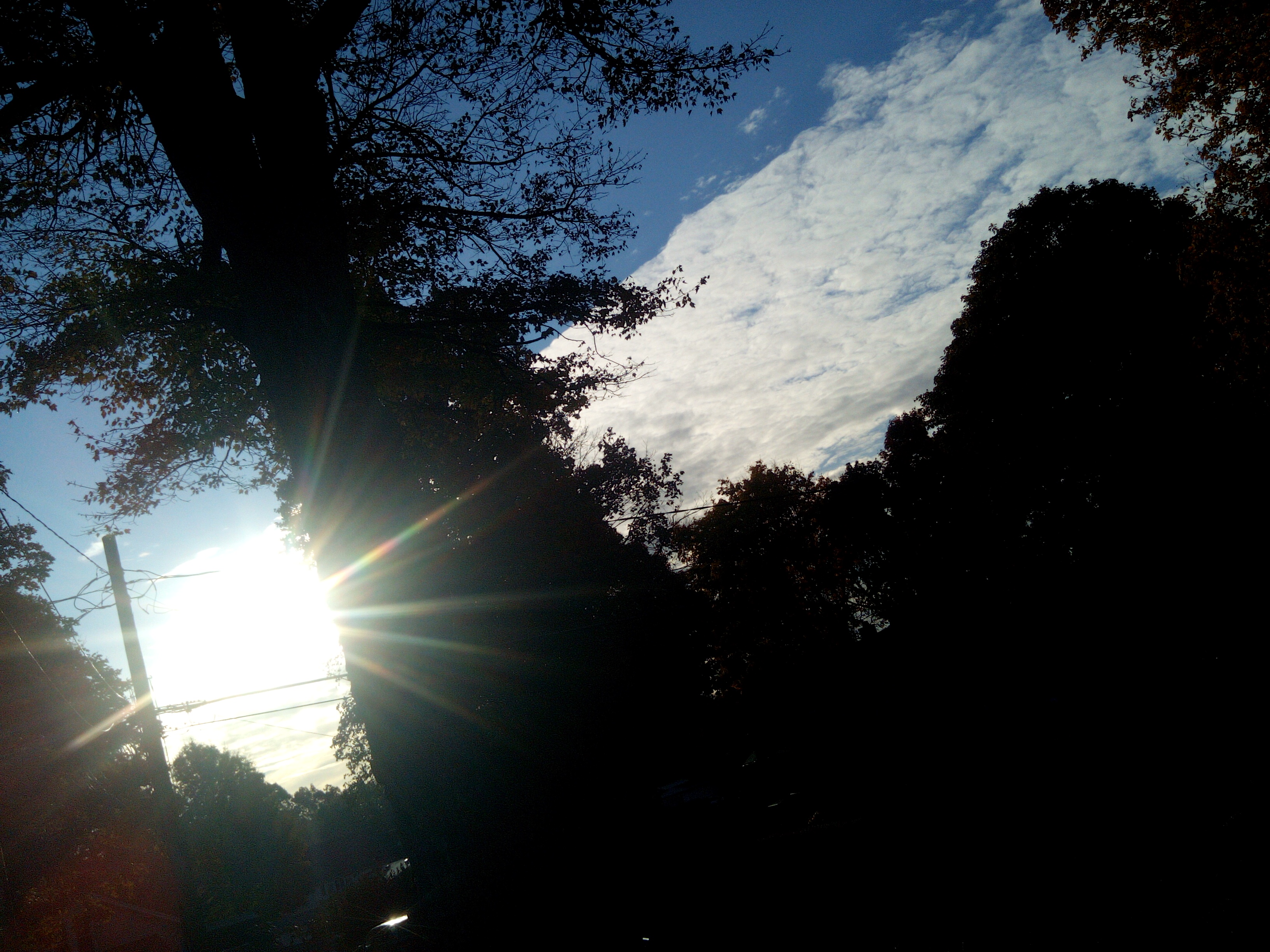 oblique scape