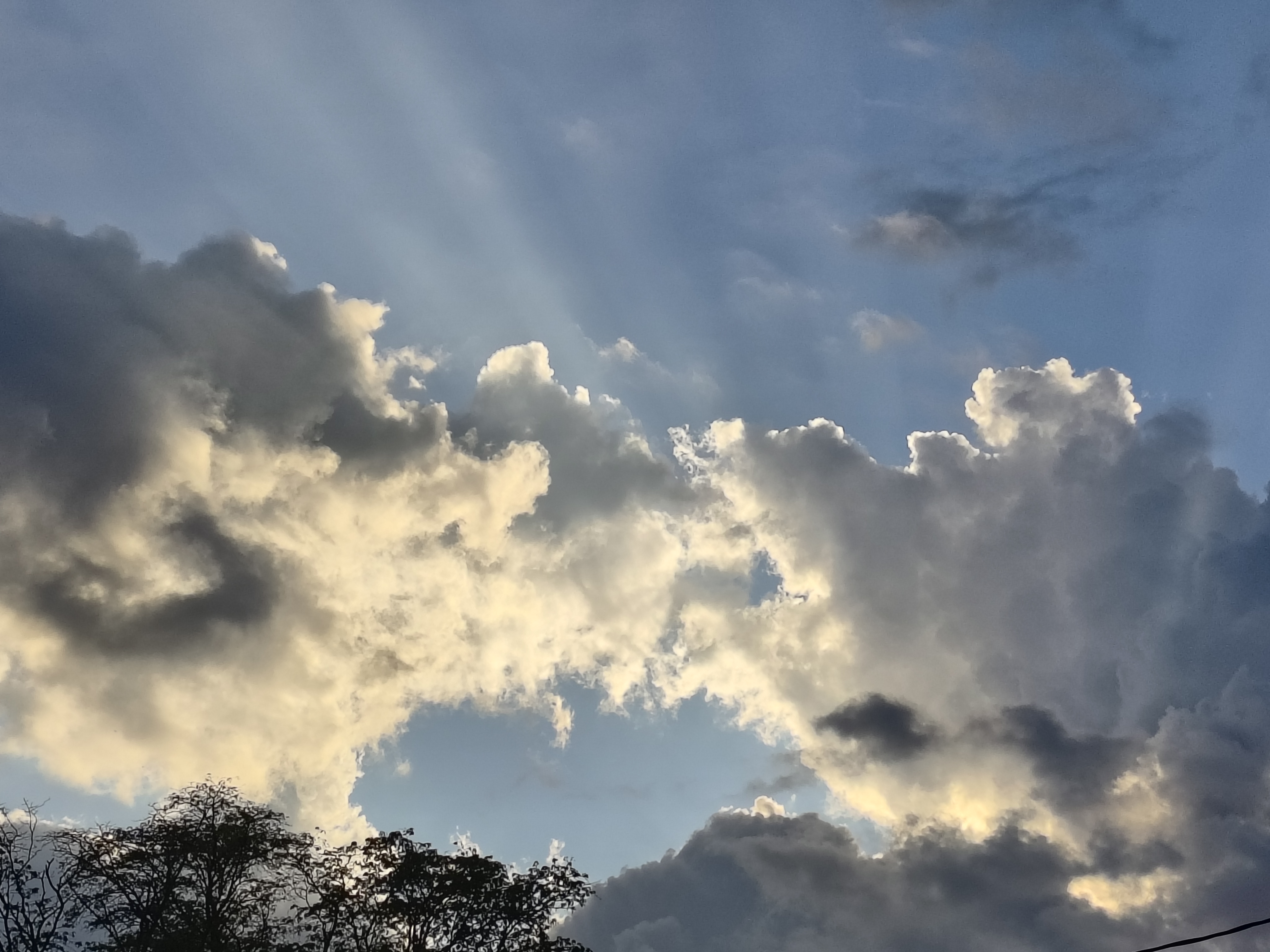 Sun rays