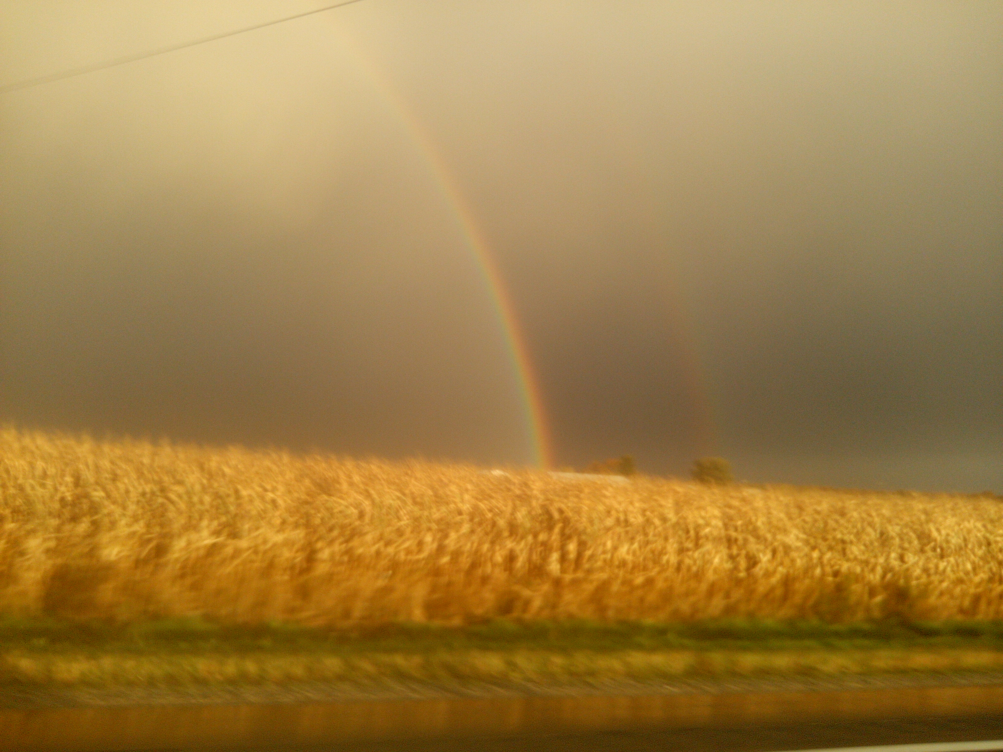 Sunfield rainbow