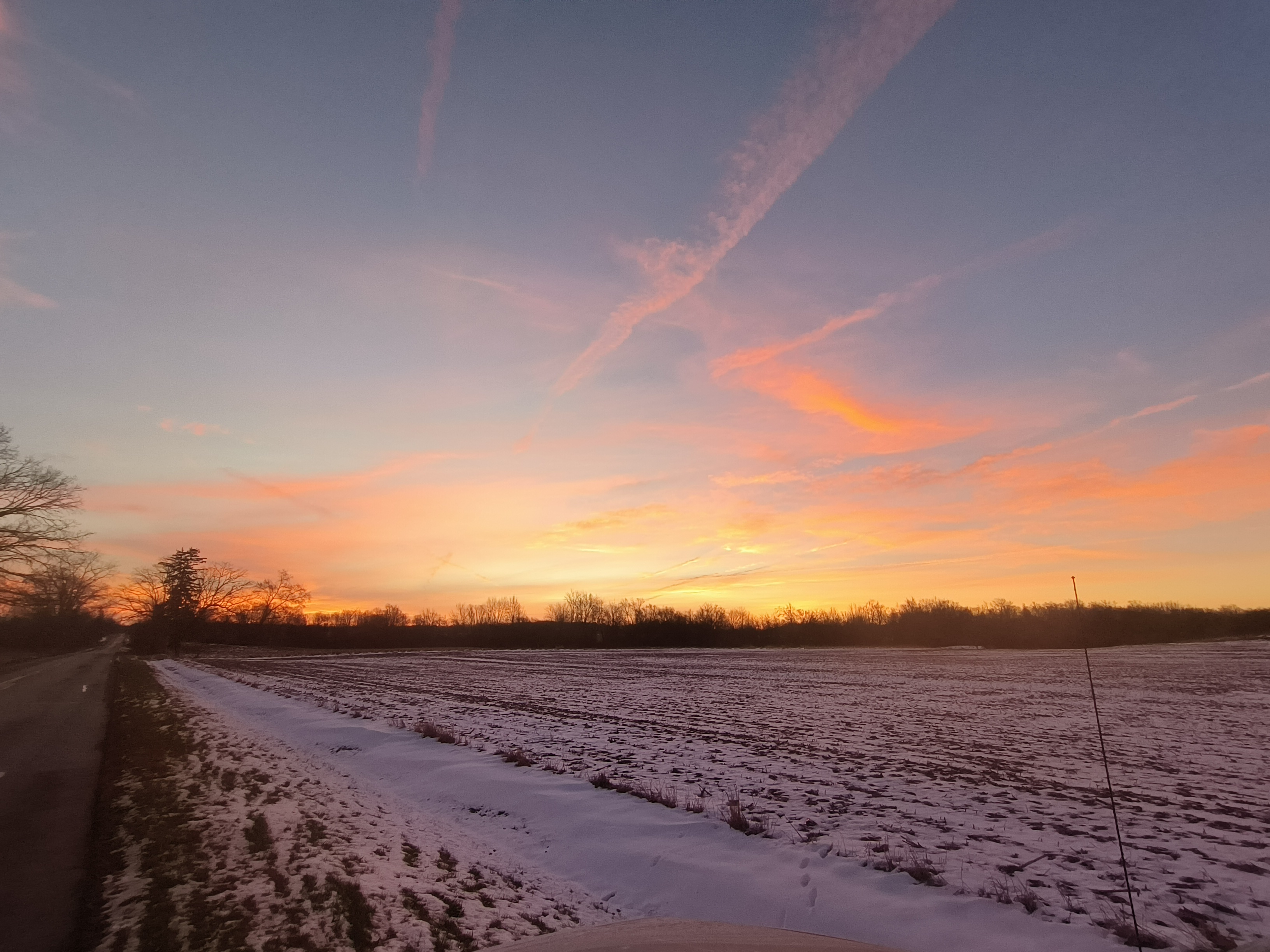 Sunset field