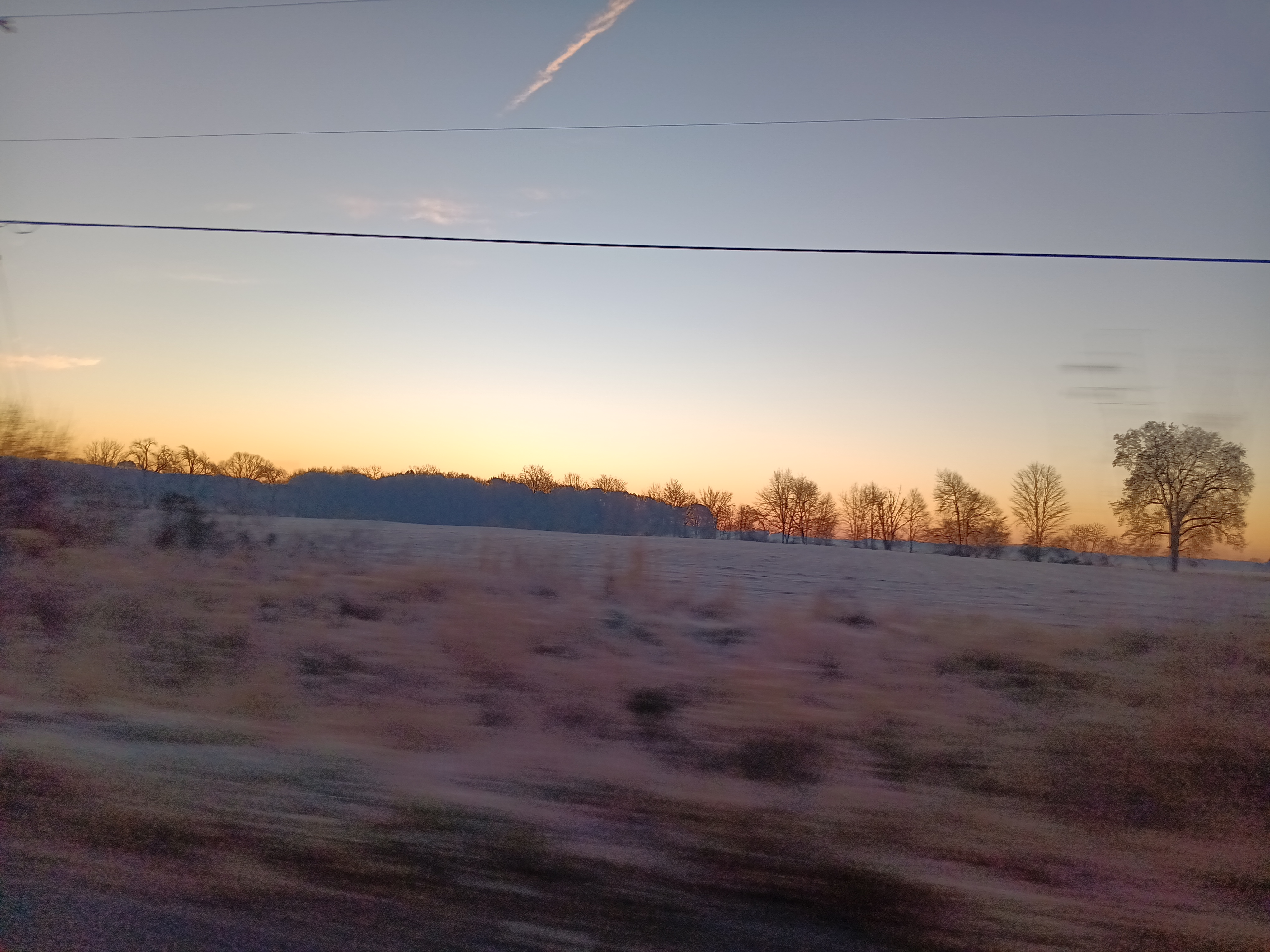 Tree horizon